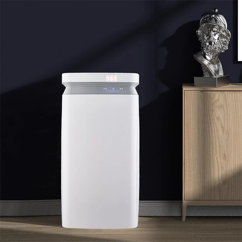product-800-800 sss(1)
