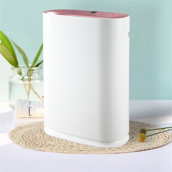 BKJ-300 PM2.5 Display Home Smart Air Purifier