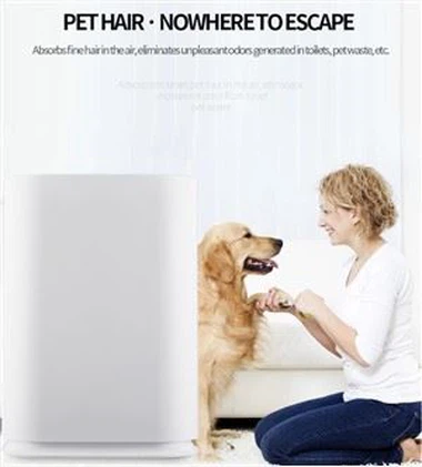 BKJ-300H Purificador d'aire Healthy Care Elimina la pols