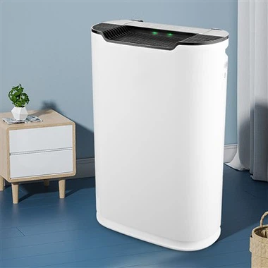 BKJ -215 Purificador d'aire de control wifi
