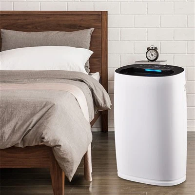 BKJ-306 WiFi Control Smart Home Purifier