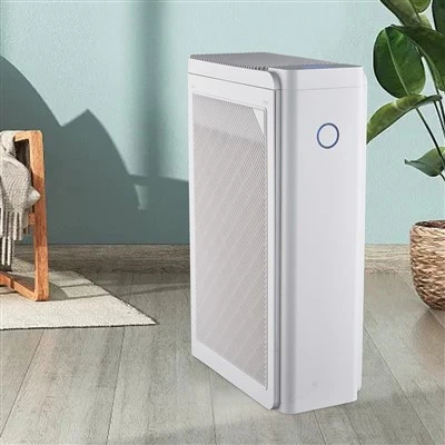 BKJ -60 C Purificador d'aire a casa personalitzat